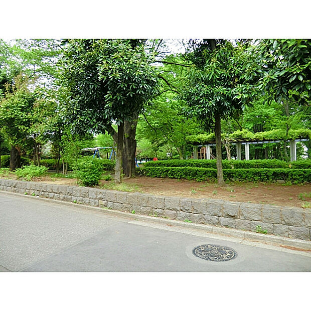 亀ヶ谷公園