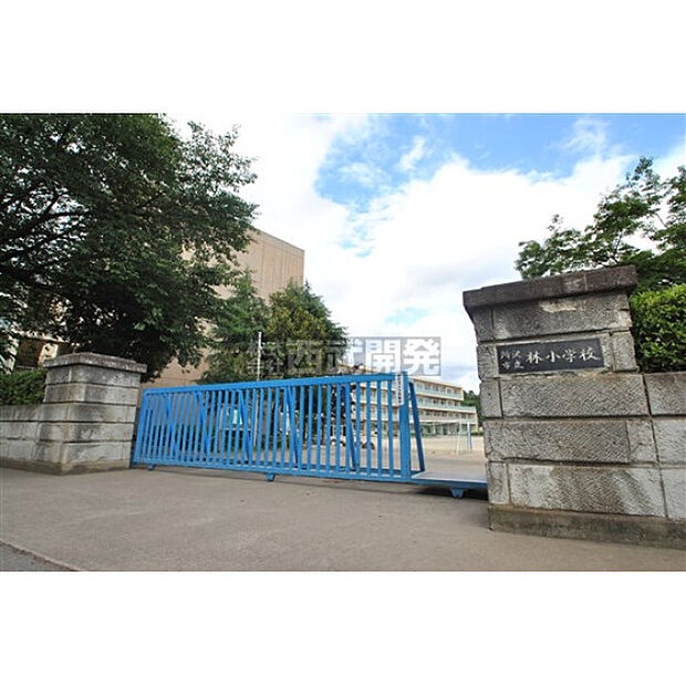 林小学校