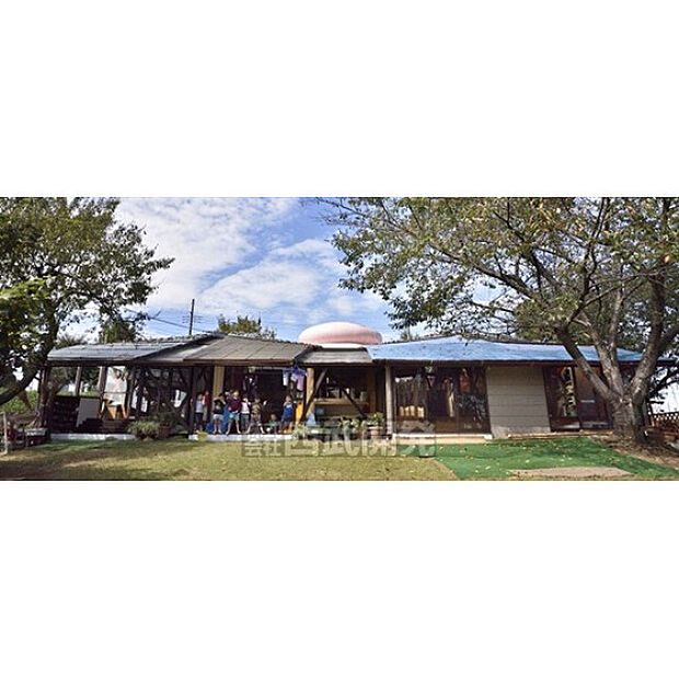 どろんこ保育園