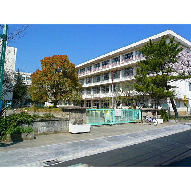 泉小学校