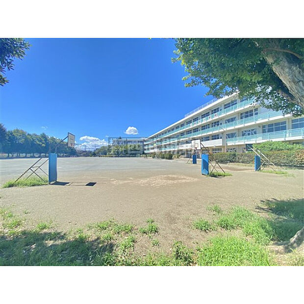 上新井小学校