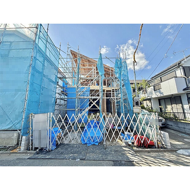 2025年9月7日撮影