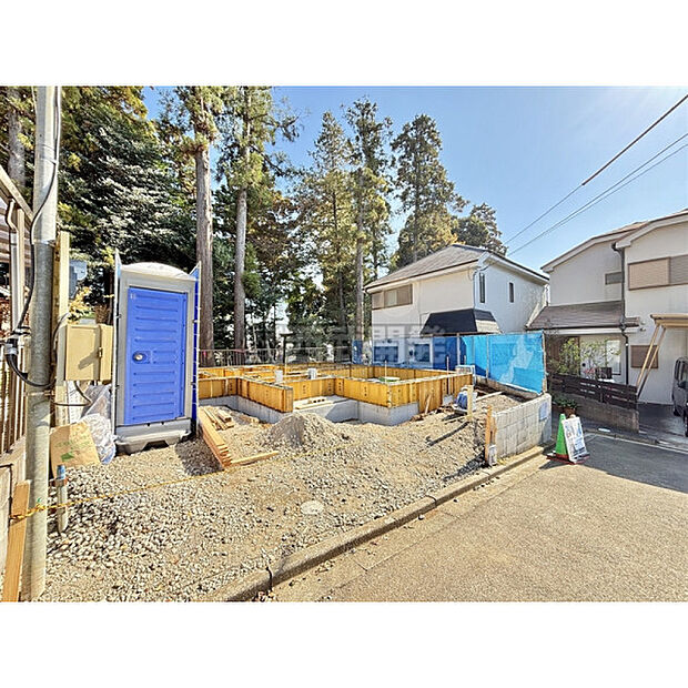 令和7年11月13日撮影