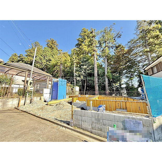 令和7年11月13日撮影