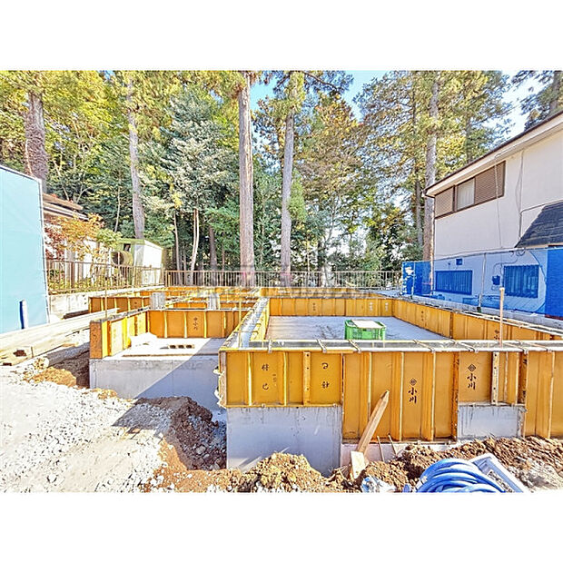 令和7年11月13日撮影