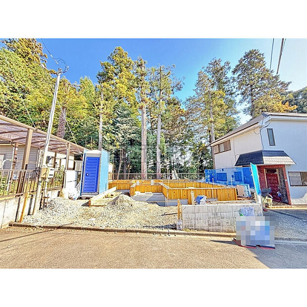 令和7年11月13日撮影