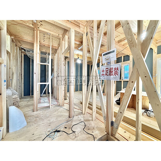 令和8年1月12日撮影