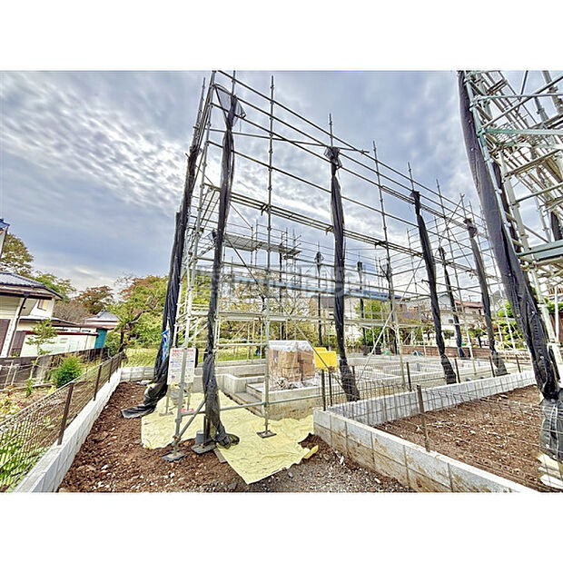 令和7年11月2日撮影