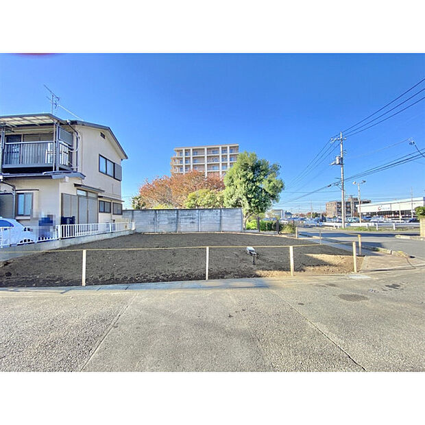 令和7年11月17日撮影