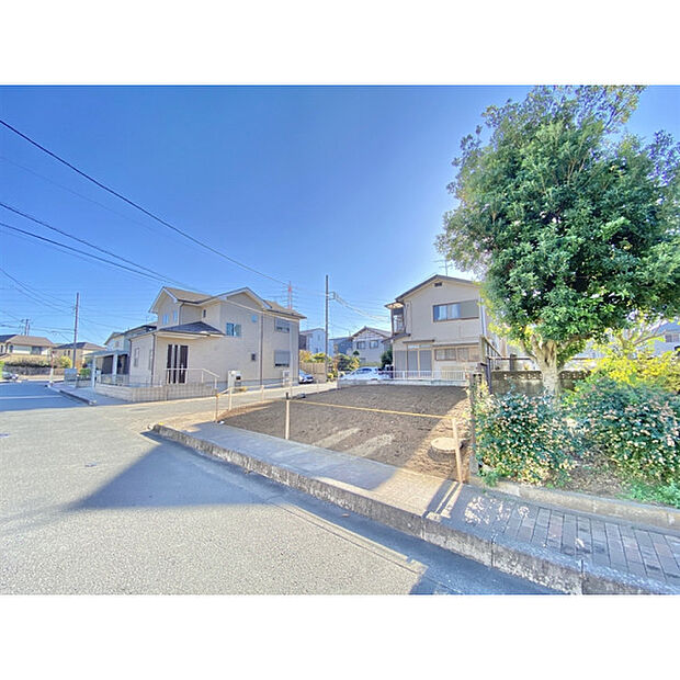 令和7年11月17日撮影