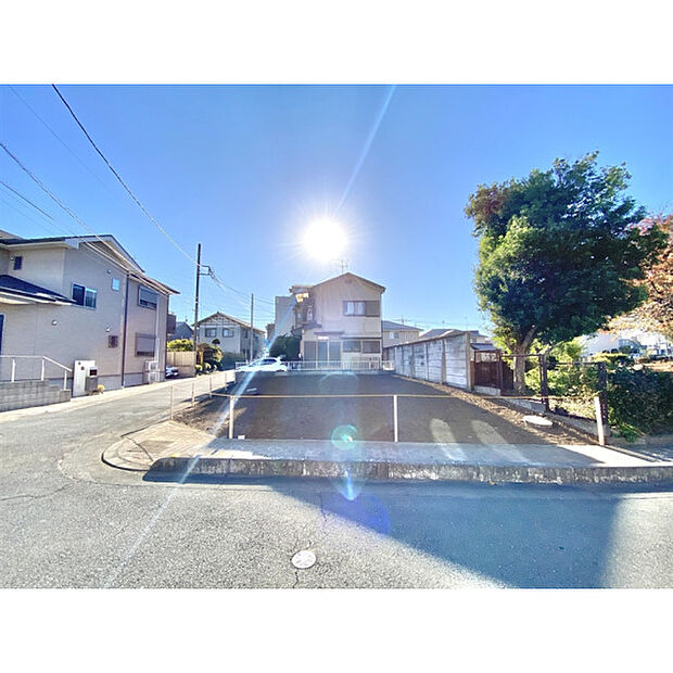 令和7年11月17日撮影