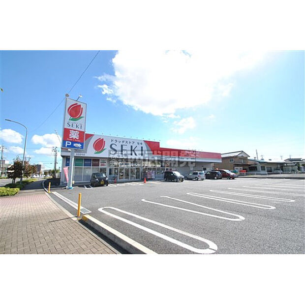 ドラックストアセキ