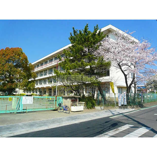 泉小学校