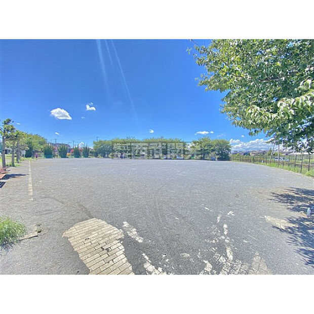 上新井公園
