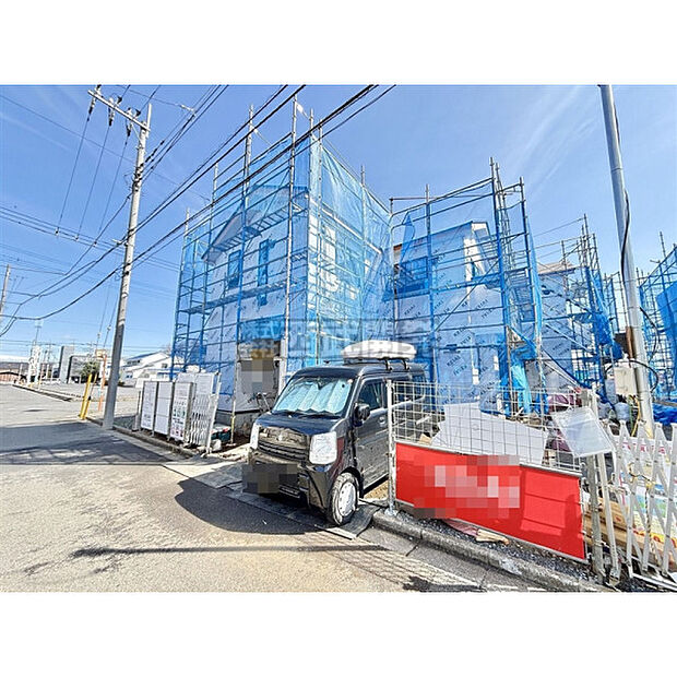 2026年3月7日撮影