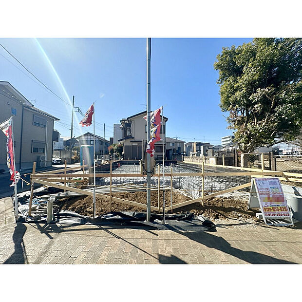 【現地撮影2026年2月21日】