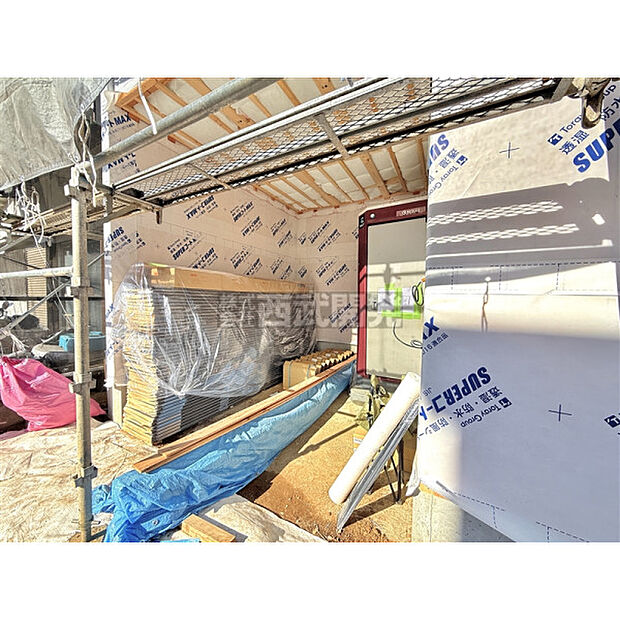 【現地撮影2026年2月13日】