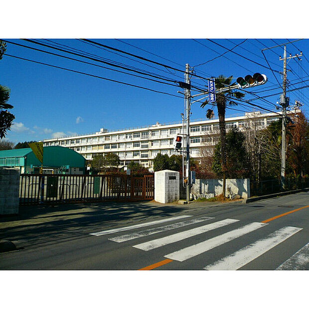 山口小学校