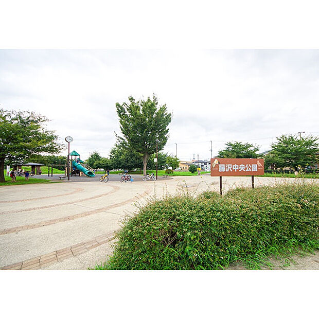 藤沢中央公園