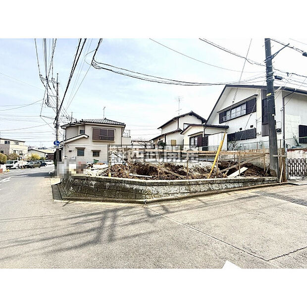 2026年3月22日撮影