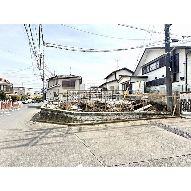 2026年3月22日撮影