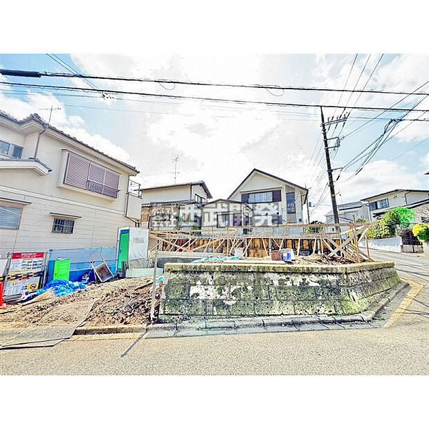 2026年3月28日撮影