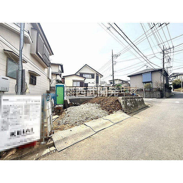 2026年3月22日撮影