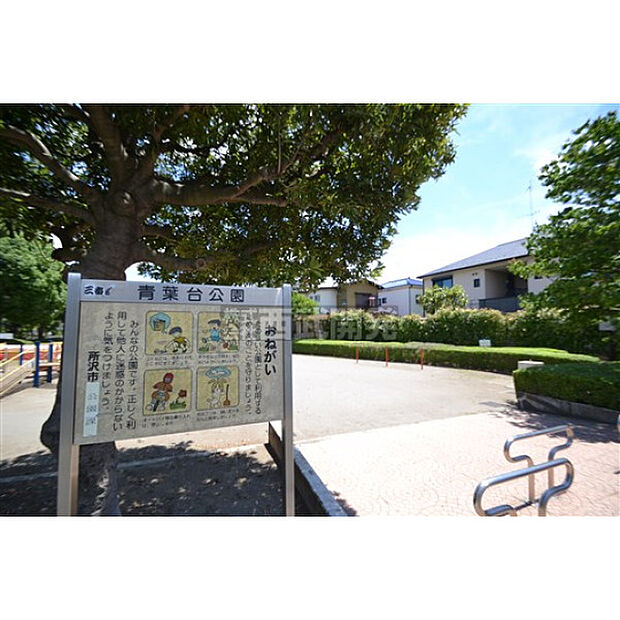 青葉台公園