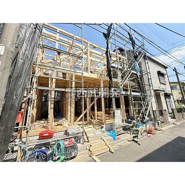 2026年6月13日撮影