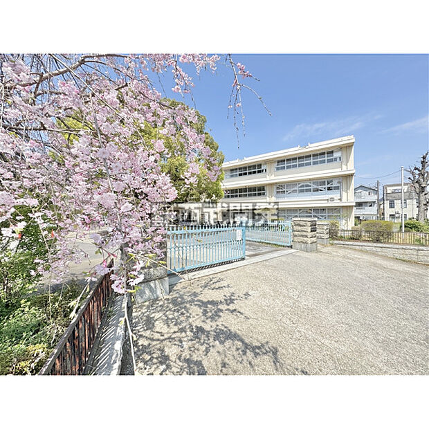清進小学校