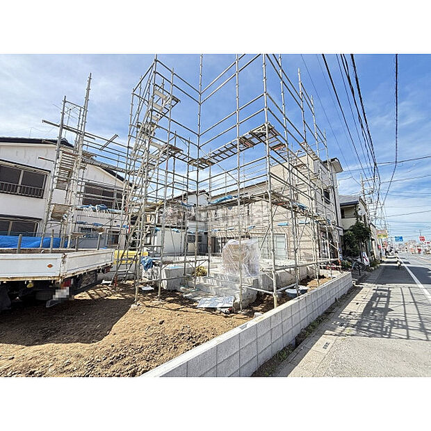 2026年6月17日撮影
