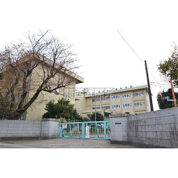 東中学校