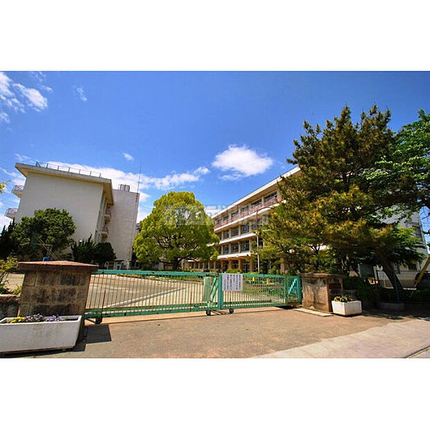 泉小学校