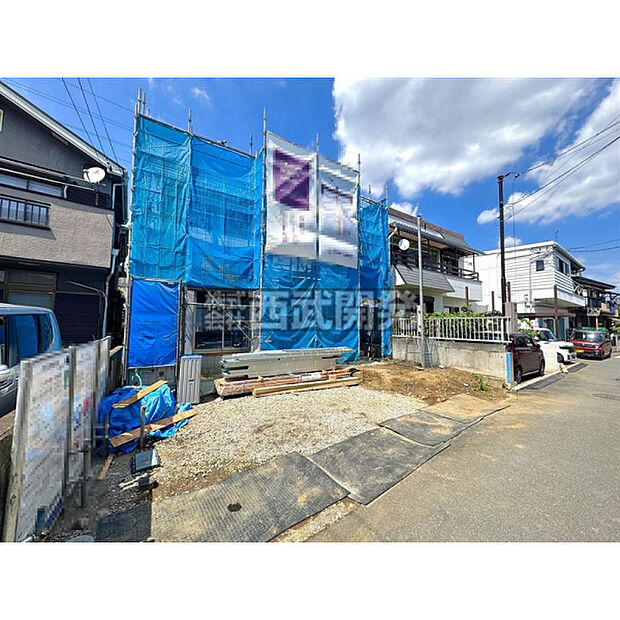 2026年7月10日撮影