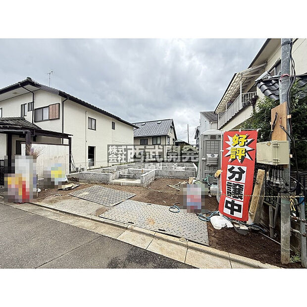 2026年9月撮影