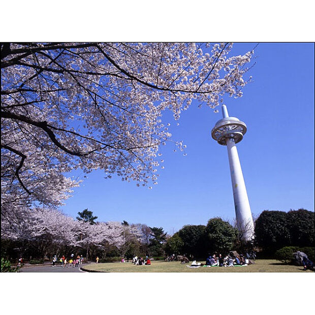 所沢航空記念公園