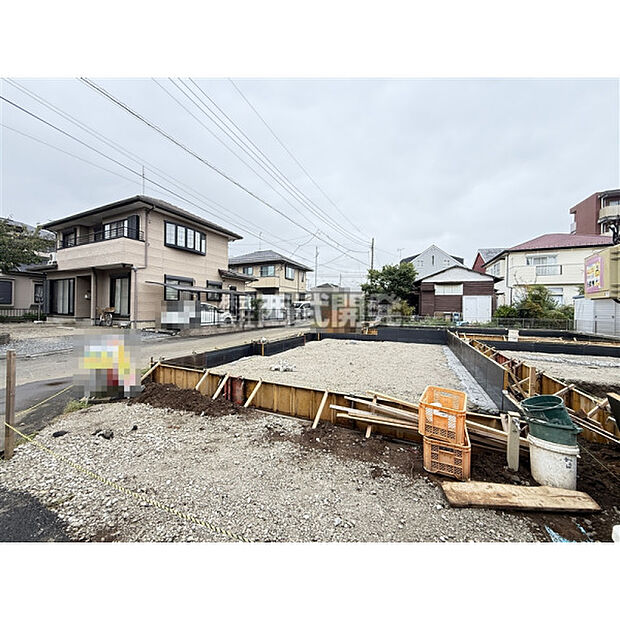 2026年9月撮影