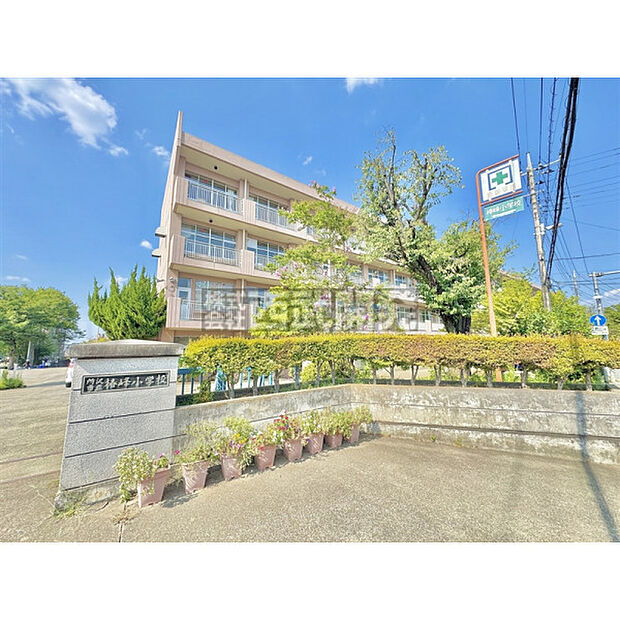椿峰小学校