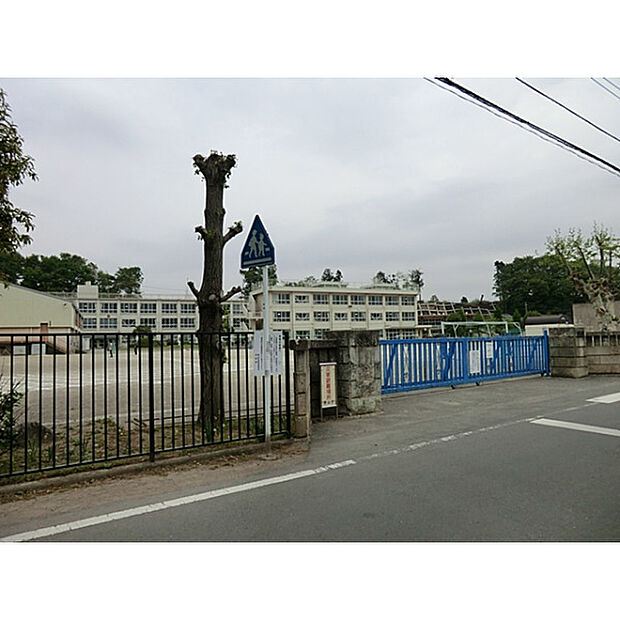 水富小学校