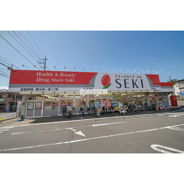 ドラッグストアセキ笠幡