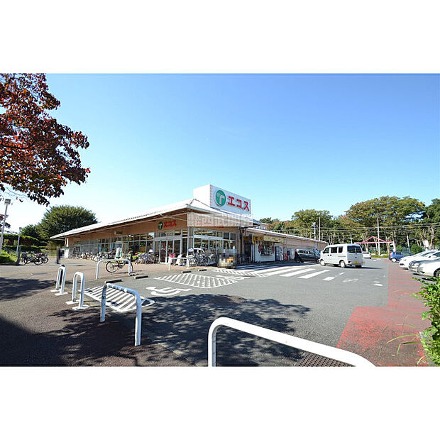 エコスTAIRAYA川鶴店