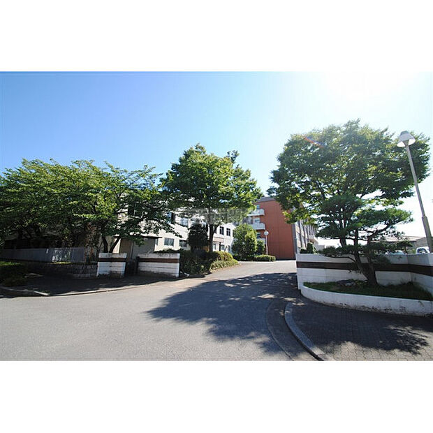 霞ヶ関西中学校