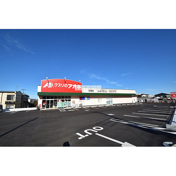 クスリのアオキ笠幡店