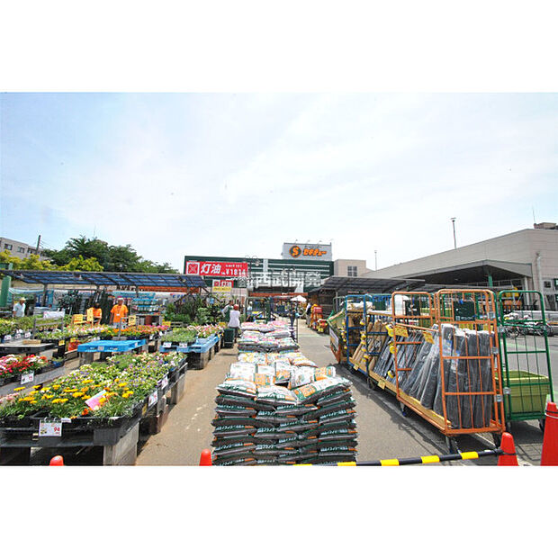 セキチュー狭山北入曽店