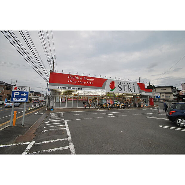 ドラッグストアセキ笠幡店
