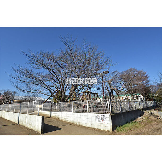 いるまこども園