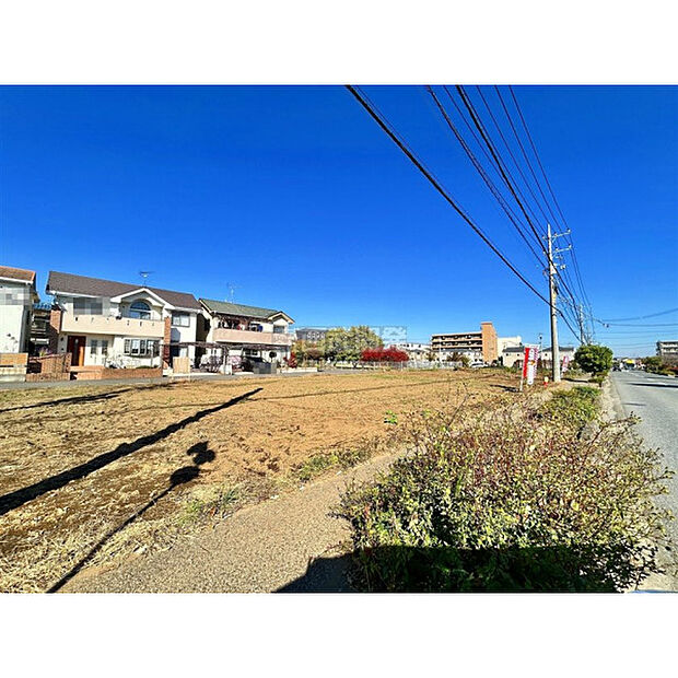 令和7年11月20日現在 全体