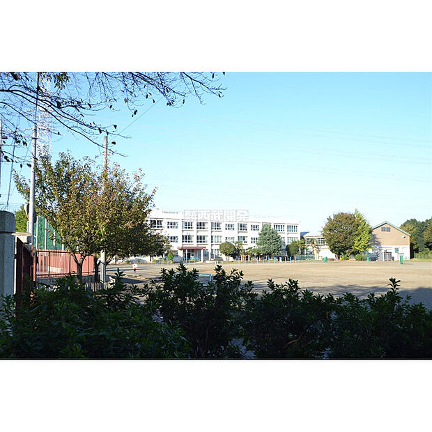 柏原小学校