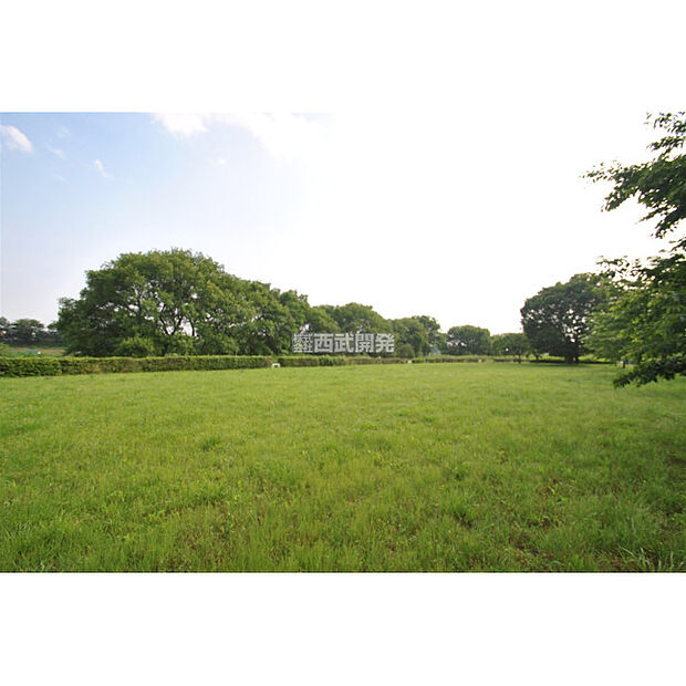 笹井河川敷公園