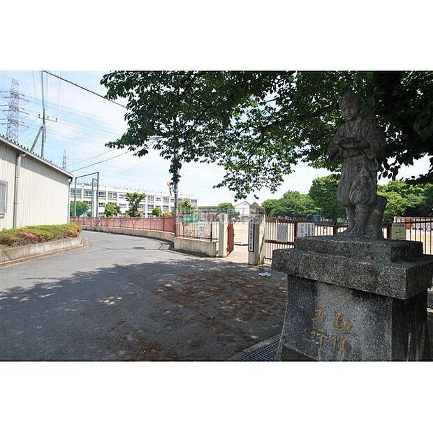 柏原小学校
